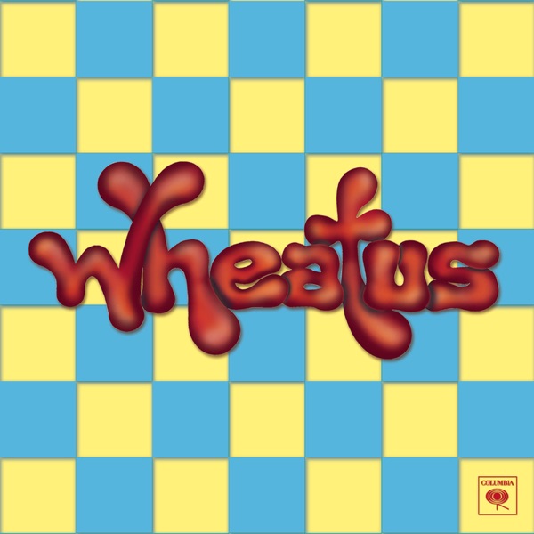 Teenage Dirtbag album artwork
